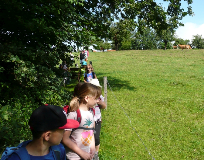 Ferienprogramm-2019 Rinder