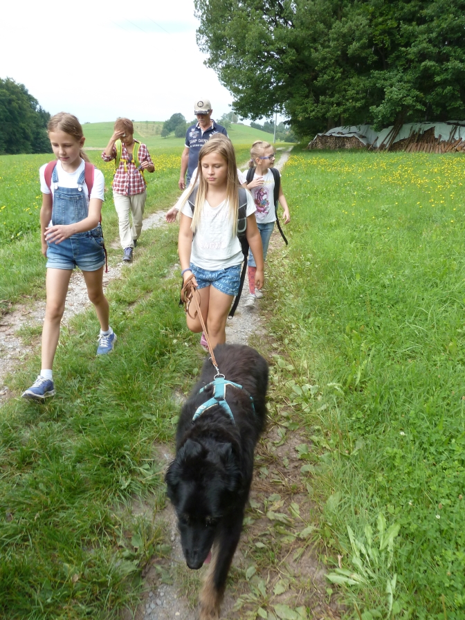 Ferienprogramm-2017 Igelsbachtal